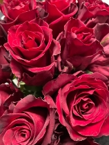 February Red Rose hand tied