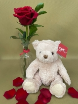 Benjamin Bear and red rose vase