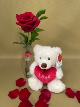 Valentines bear and red rose vase